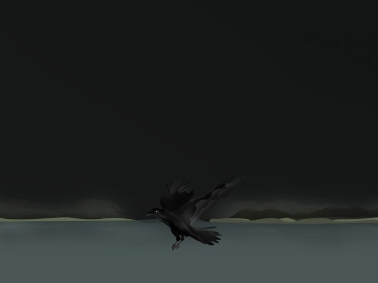 raven, Polar night HD Wallpaper Desktop Background