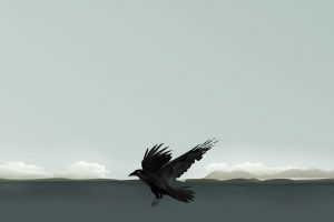 abstract, Polar night, Crow, Raven