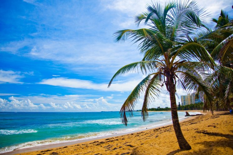 beach, Puerto Rico HD Wallpaper Desktop Background