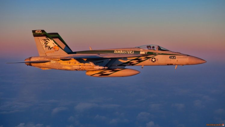 jet fighter, Military, McDonnell Douglas F A 18 Hornet, Airplane, F A 18 Hornet HD Wallpaper Desktop Background