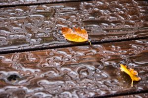 water, Wooden surface, Fall, Leaves, Wet, Outdoors