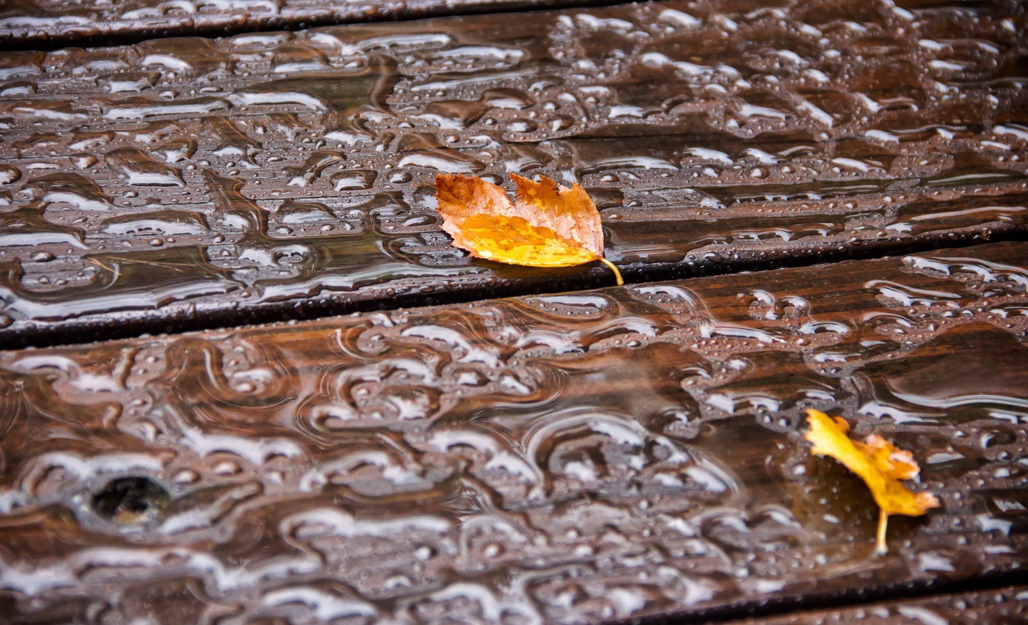water, Wooden surface, Fall, Leaves, Wet, Outdoors Wallpaper