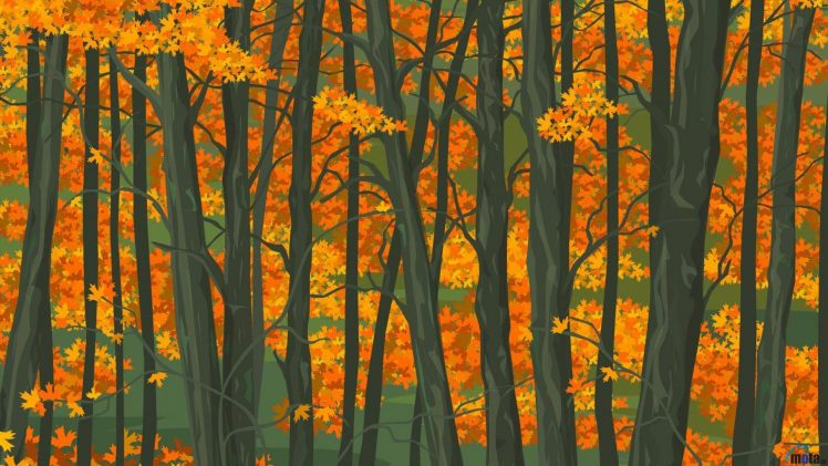 trees, Forest, Green, Glass, Leaves, Jungle HD Wallpaper Desktop Background
