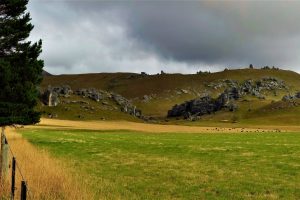 New Zealand, Mt Cook, Landscape