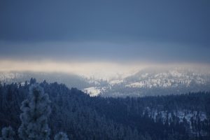 mountains, Overcast, Snow, Pine trees