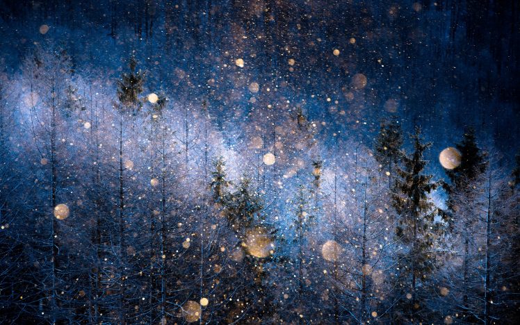 Japan, Nagano Prefecture, Snow HD Wallpaper Desktop Background