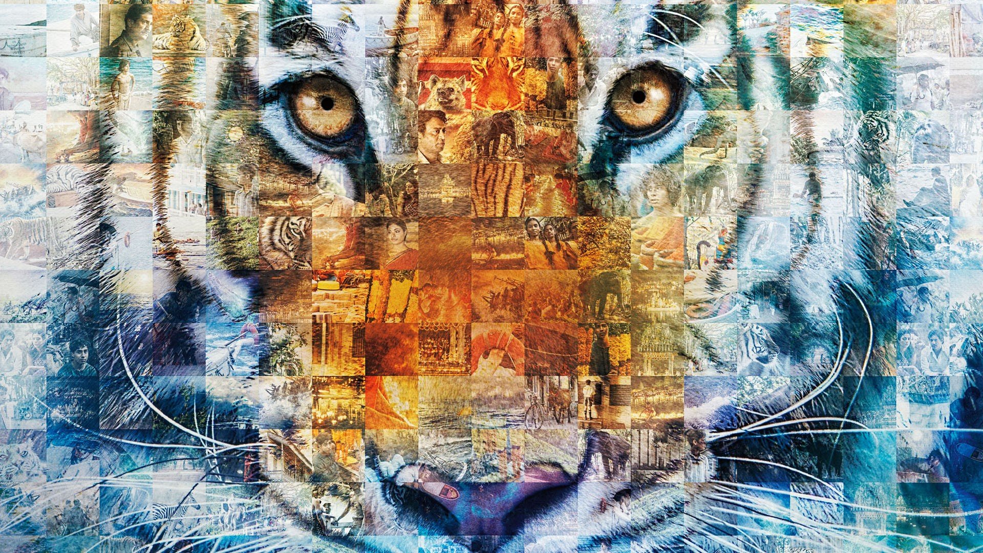 Life of Pi, Tiger, Animals, Movies, Collage Wallpaper