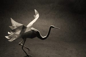cranes, Origami, Animals, Paper, Nature