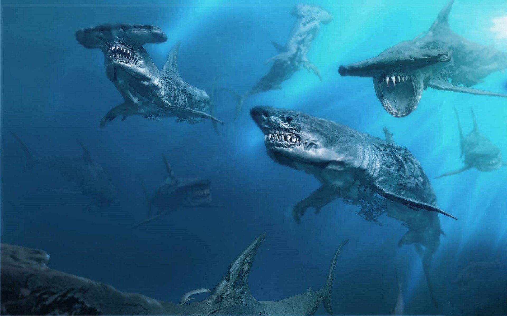 壁纸 : 大白鲨, 脊椎动物, 海洋生物学, lamniformes, 请求鲨鱼, 虎鲨, carcharhiniformes, 软骨鱼 ...