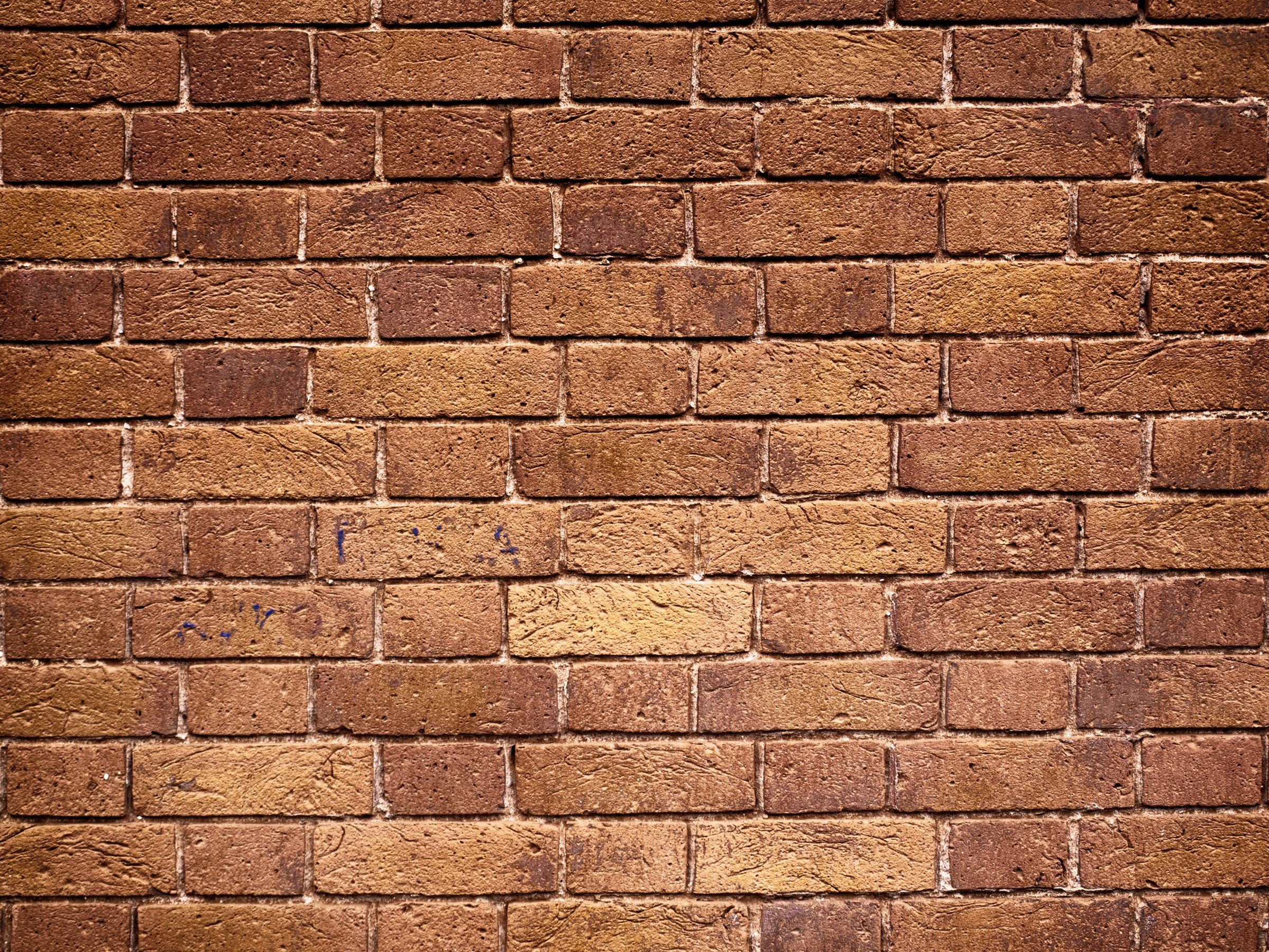 498898 Texture Bricks Wall 