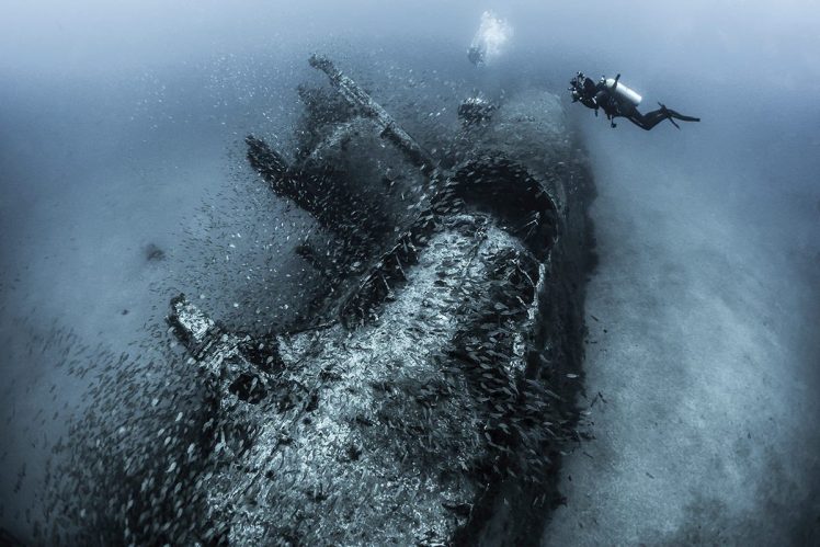 divers, Tanya Houppermans, Sea, Underwater, Deep sea, Wreck, Submarine, Fish, Shoal of fish HD Wallpaper Desktop Background