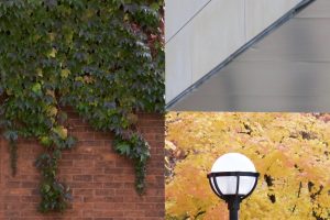 architecture, Building, Photography, Wall, Street light, Plants, Trees, Bricks, Optical illusion, Leaves