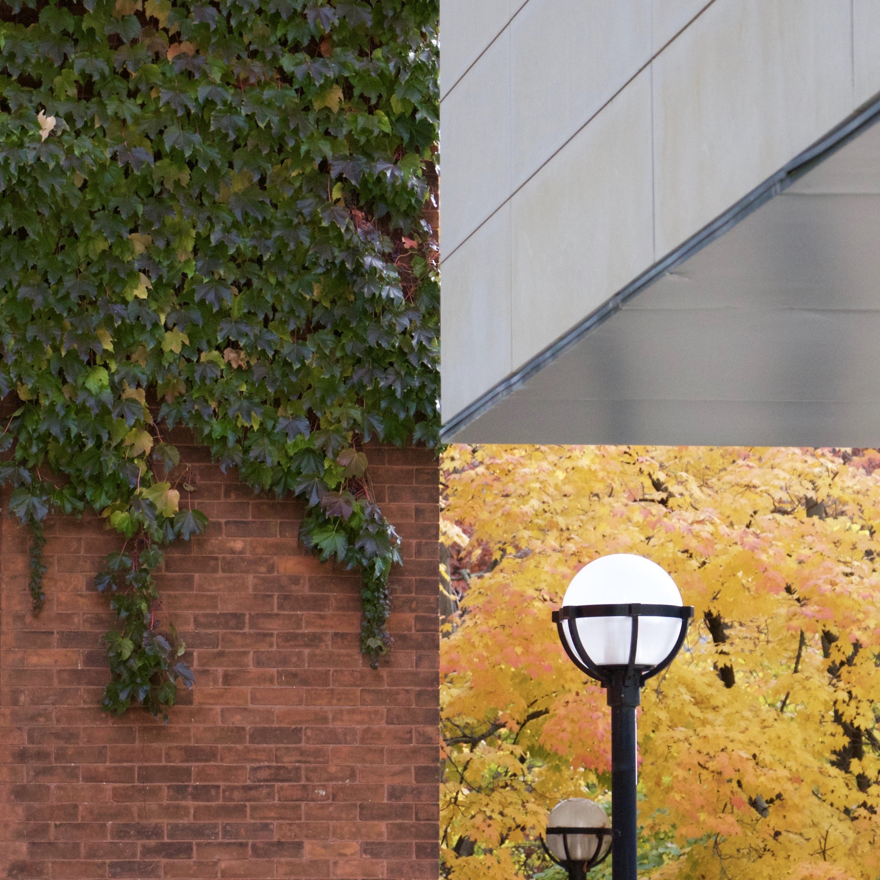 architecture, Building, Photography, Wall, Street light, Plants, Trees, Bricks, Optical illusion, Leaves Wallpaper