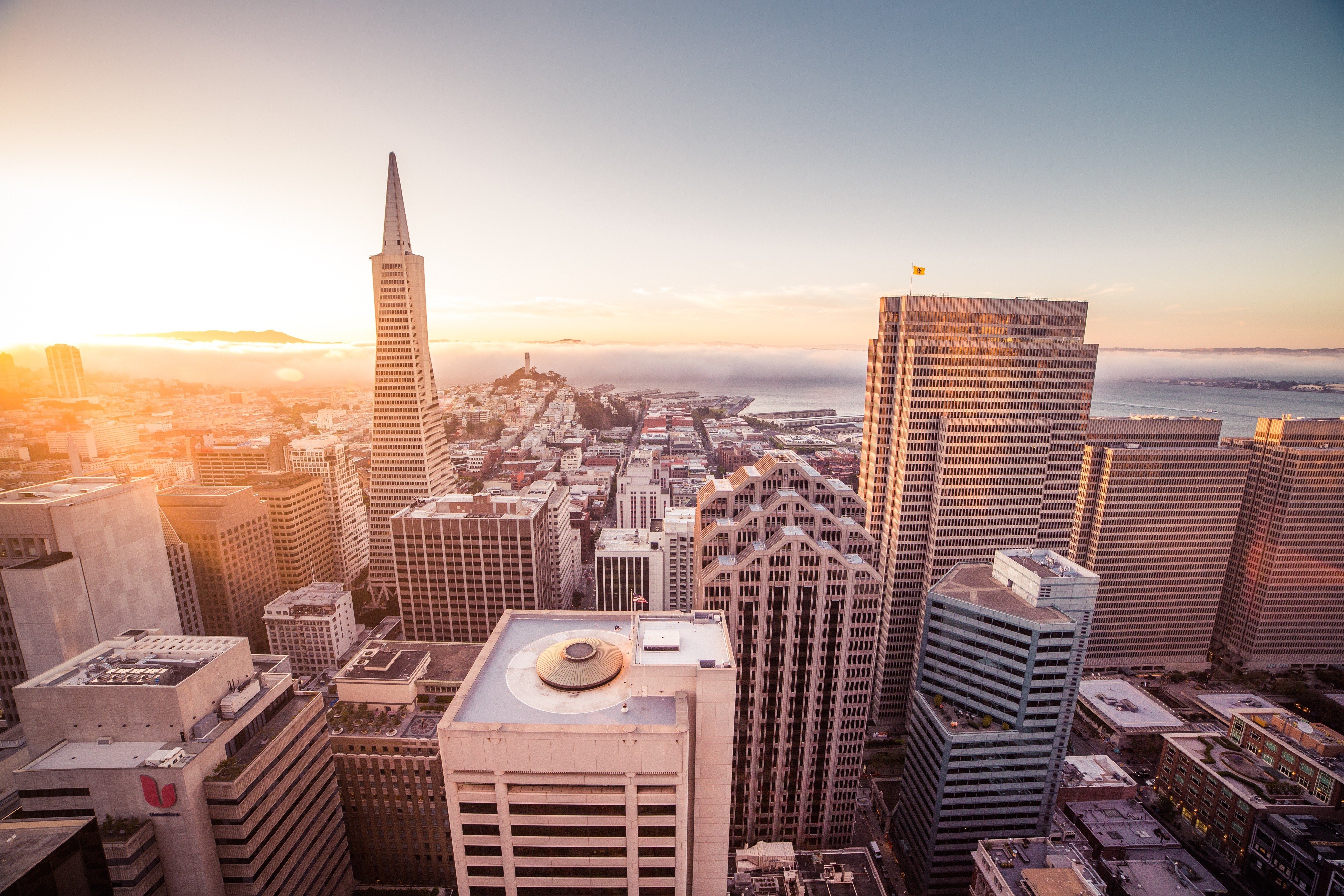 cityscape, City, San Francisco, Skyscraper Wallpaper