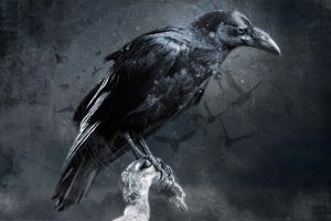 crow, Digital art