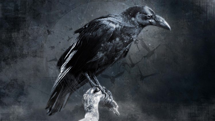 crow, Digital art HD Wallpaper Desktop Background