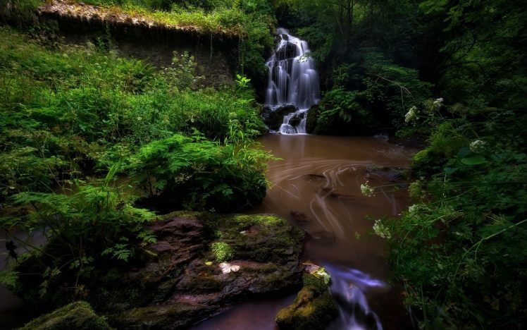long exposure, Water, Waterfall, Nature, Plants HD Wallpaper Desktop Background