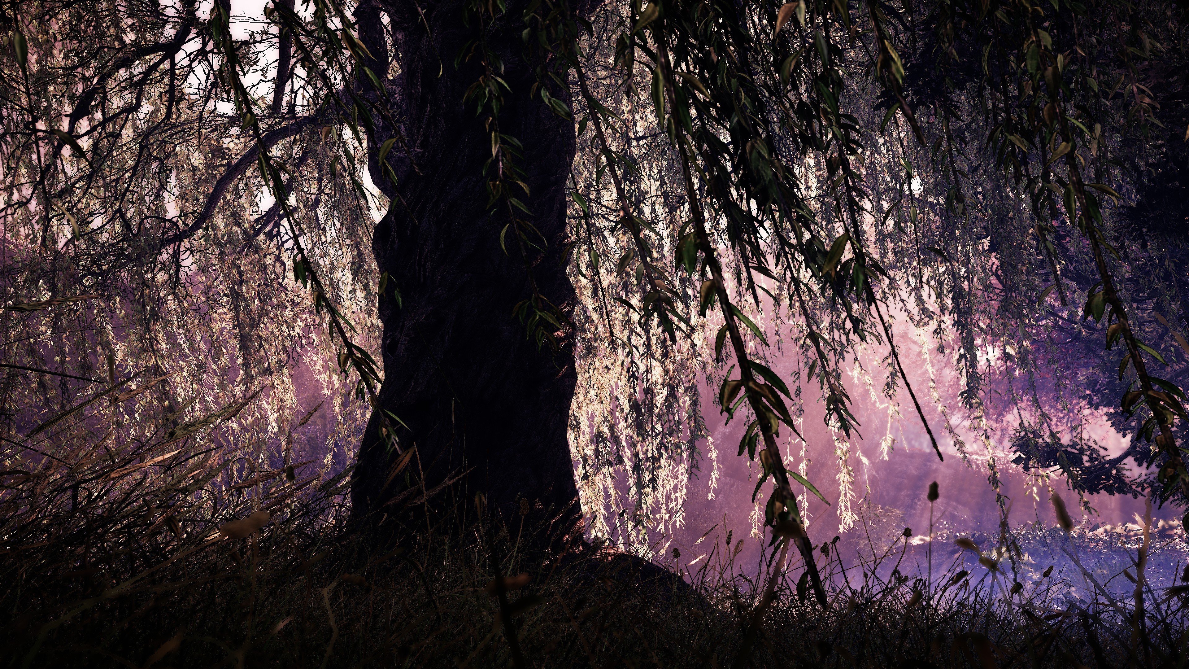 willow trees, Weeping willow, Willows, Plants, Shadow Warrior 2, Calm, Wind, Relaxing Wallpaper