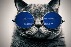 cat, Glasses, Blue Screen of Death