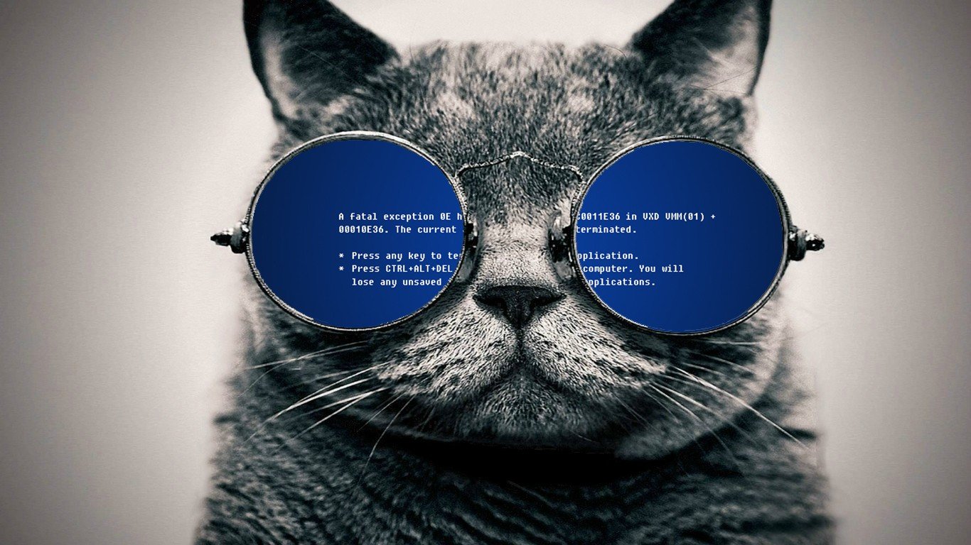 cat, Glasses, Blue Screen of Death Wallpaper