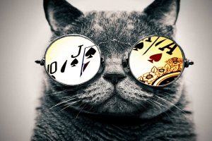 cat, Glasses, Aces