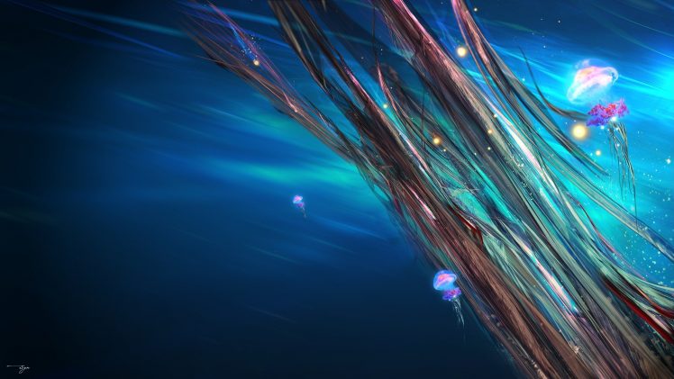 jellyfish, Abstract HD Wallpaper Desktop Background