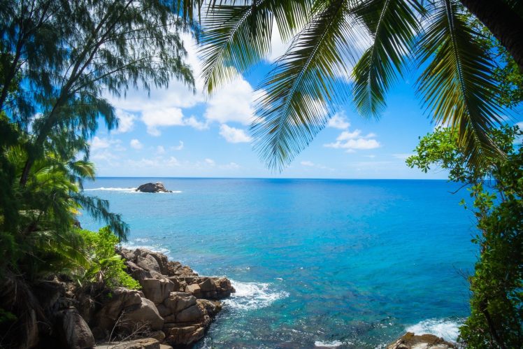 summer, Island, Tropical, Palm trees, Clear sky, Sea, Clouds HD Wallpaper Desktop Background
