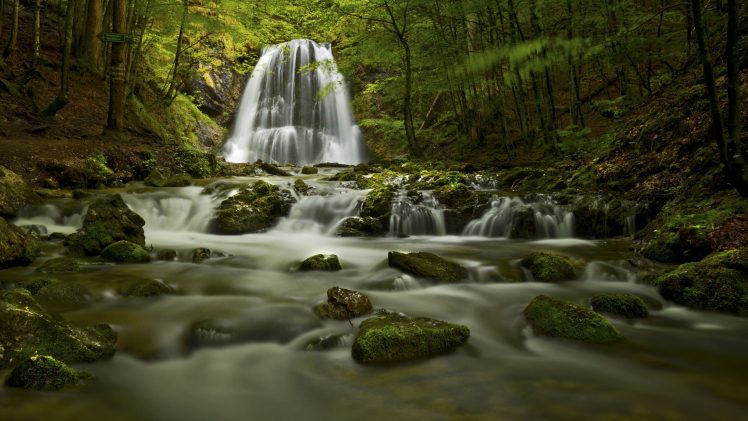 water, Rock, Nature, Forest HD Wallpaper Desktop Background