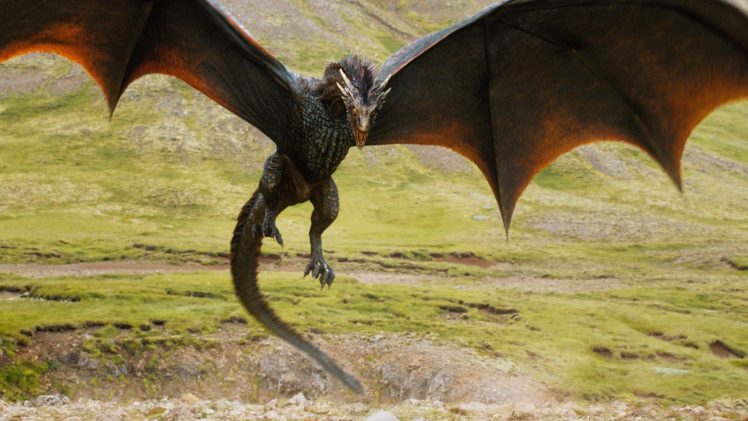 dragon, Game of Thrones HD Wallpaper Desktop Background