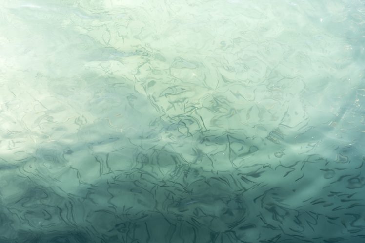 fish, Sea, Pacific Ocean, Water, Landscape, Nature, Blue HD Wallpaper Desktop Background