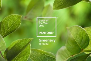 color codes, Green, Landscape, Colorful, Logo, Leaves, Trees, Simple