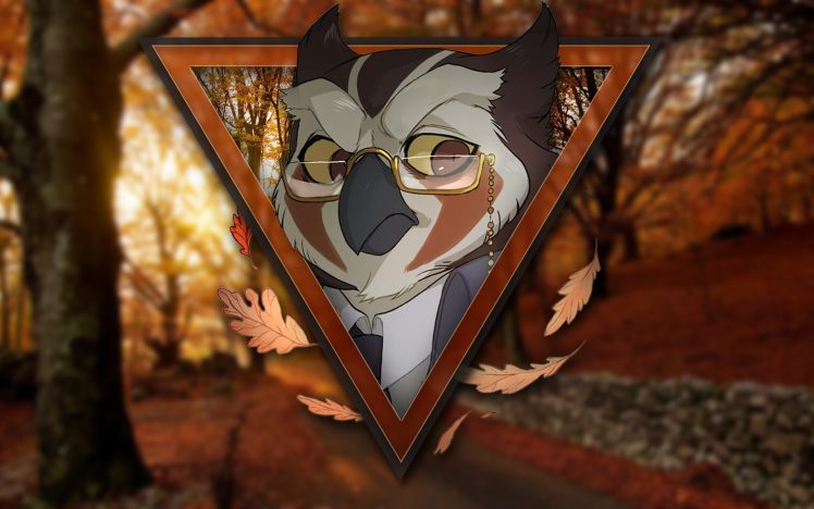 Anthro, Owl, Furry HD Wallpaper Desktop Background