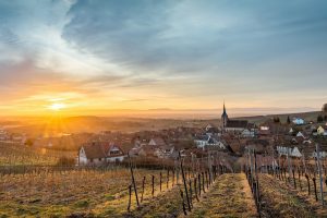 Alsace, France, Town, Sunlight, Cityscape, Field, Landscape