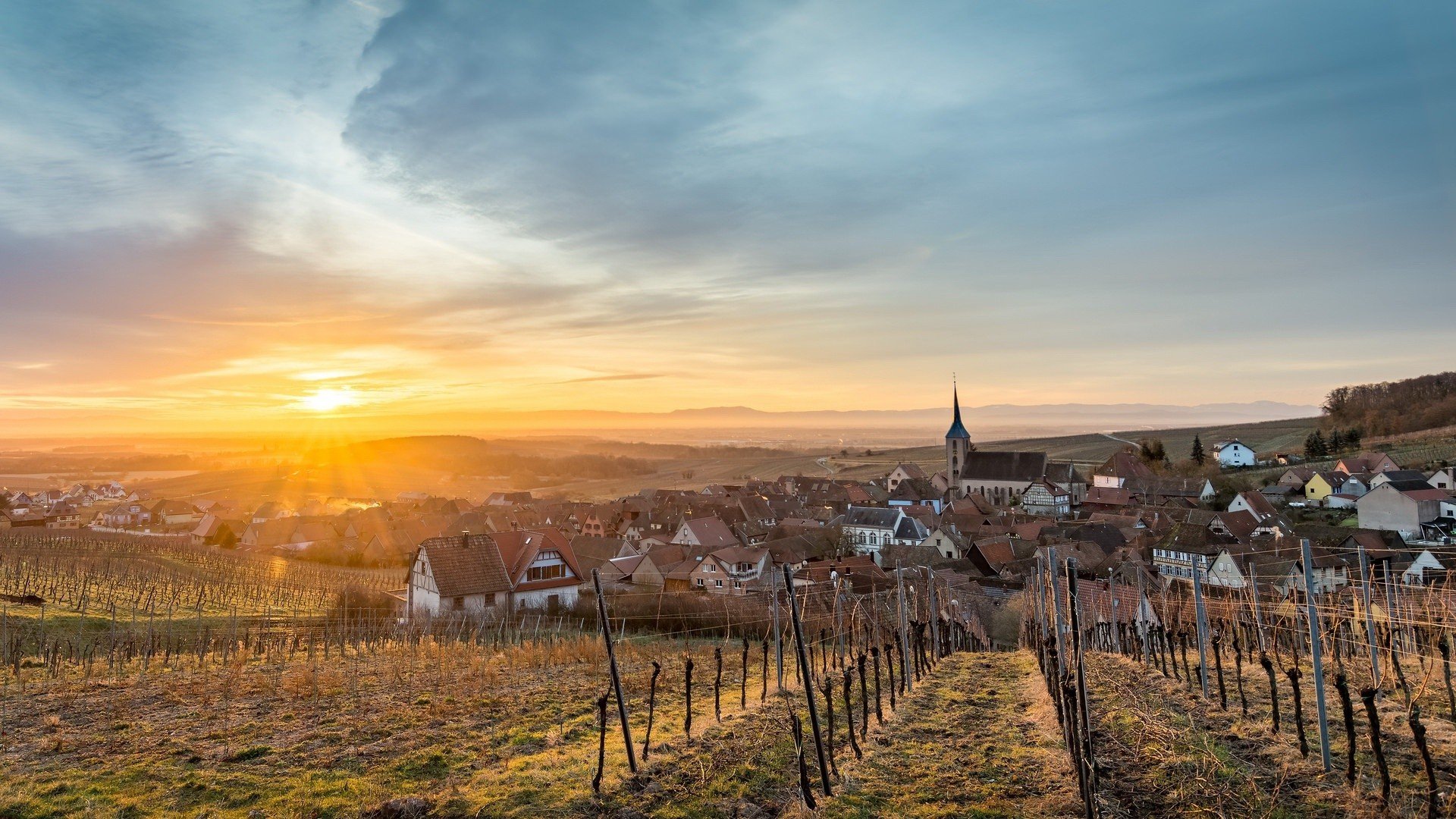 Alsace, France, Town, Sunlight, Cityscape, Field, Landscape Wallpaper