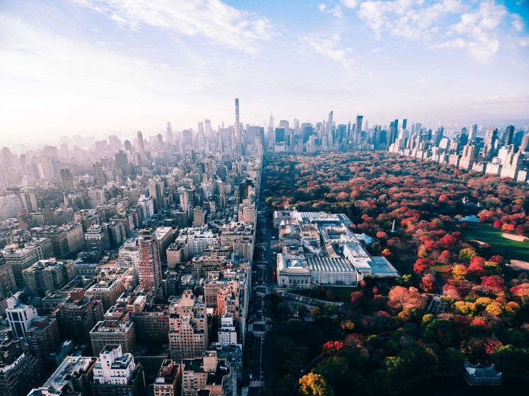 building, USA, New York City, Park, Cityscape, Fall, Central Park HD Wallpaper Desktop Background
