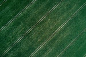 photography, Grass, Field, Aerial view, Landscape, Symmetry