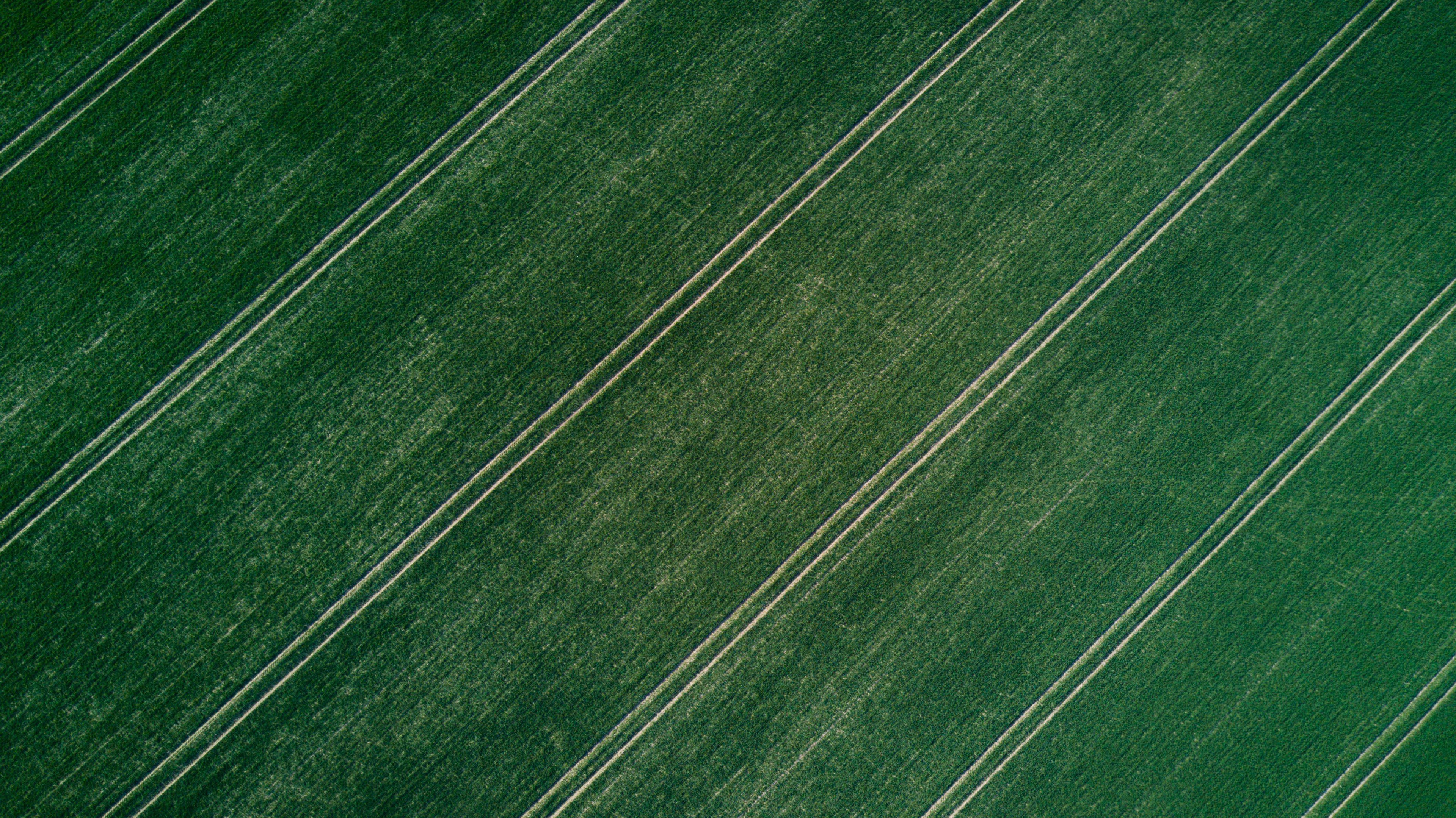 photography, Grass, Field, Aerial view, Landscape, Symmetry Wallpaper