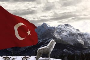 Turkish, Turkey, Bozkurt, Wolf