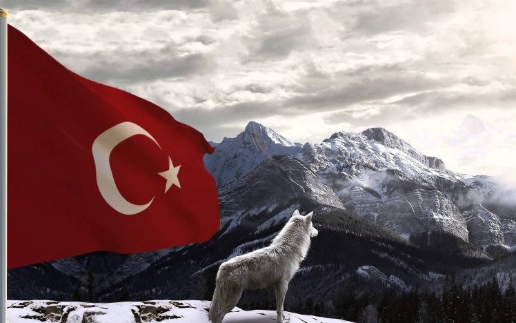 Turkish, Turkey, Bozkurt, Wolf HD Wallpaper Desktop Background