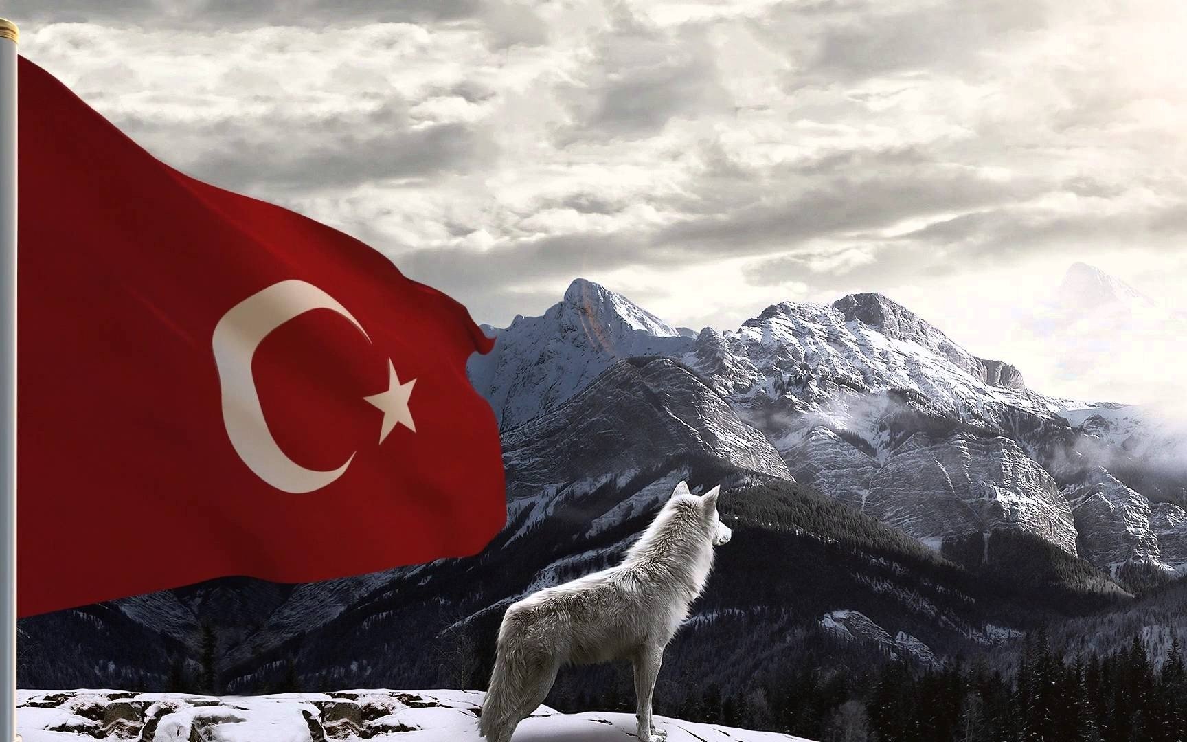 Turkish, Turkey, Bozkurt, Wolf Wallpaper