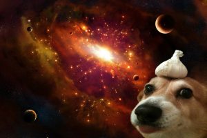 dog, Space, Universe, Garlic, Corgi