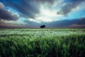 Ivan Gorokhov, 500px, Landscape, Field, Sky, Plants, Clouds