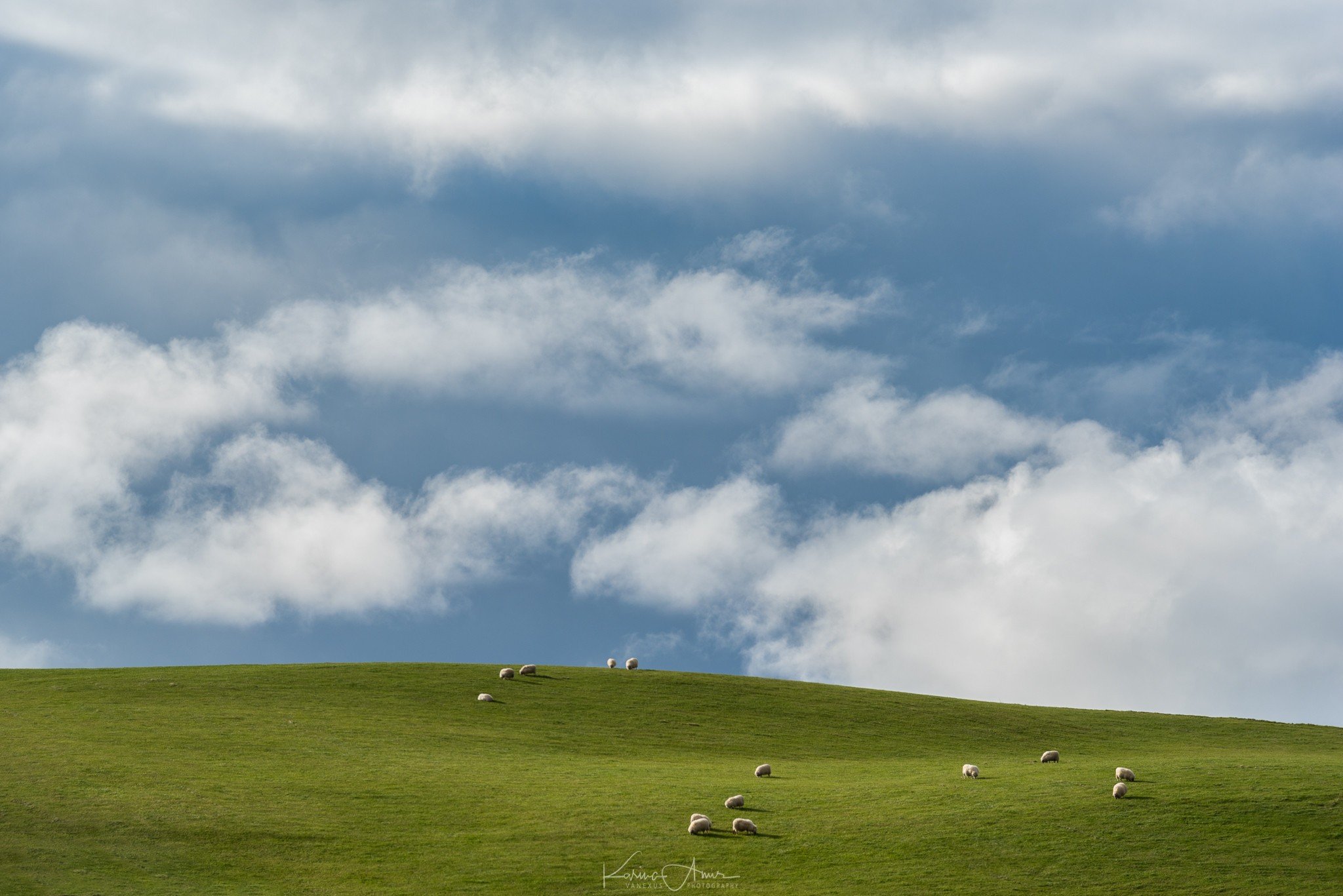 Windows XP Wallpapers HD / Desktop and Mobile Backgrounds