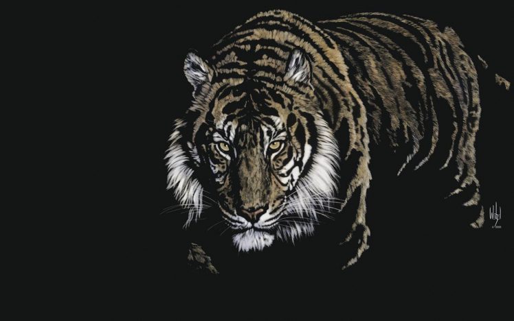 digital art, Tiger HD Wallpaper Desktop Background
