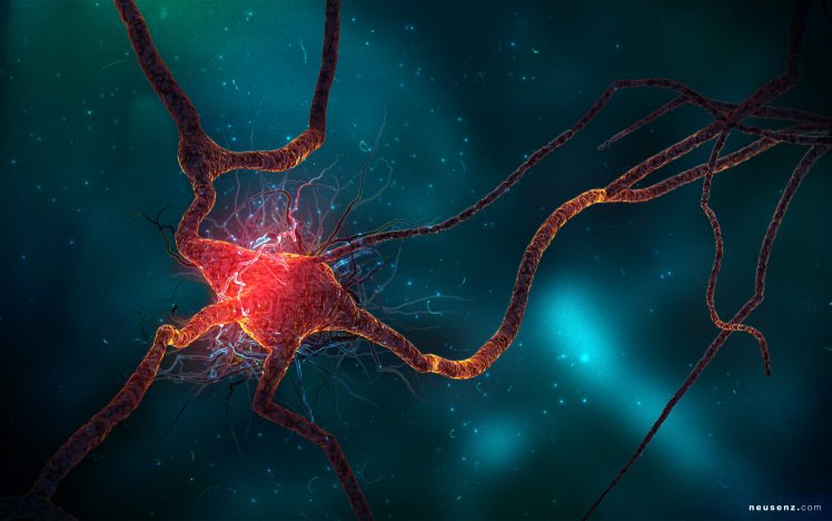 neurons, 3D, Digital art HD Wallpaper Desktop Background