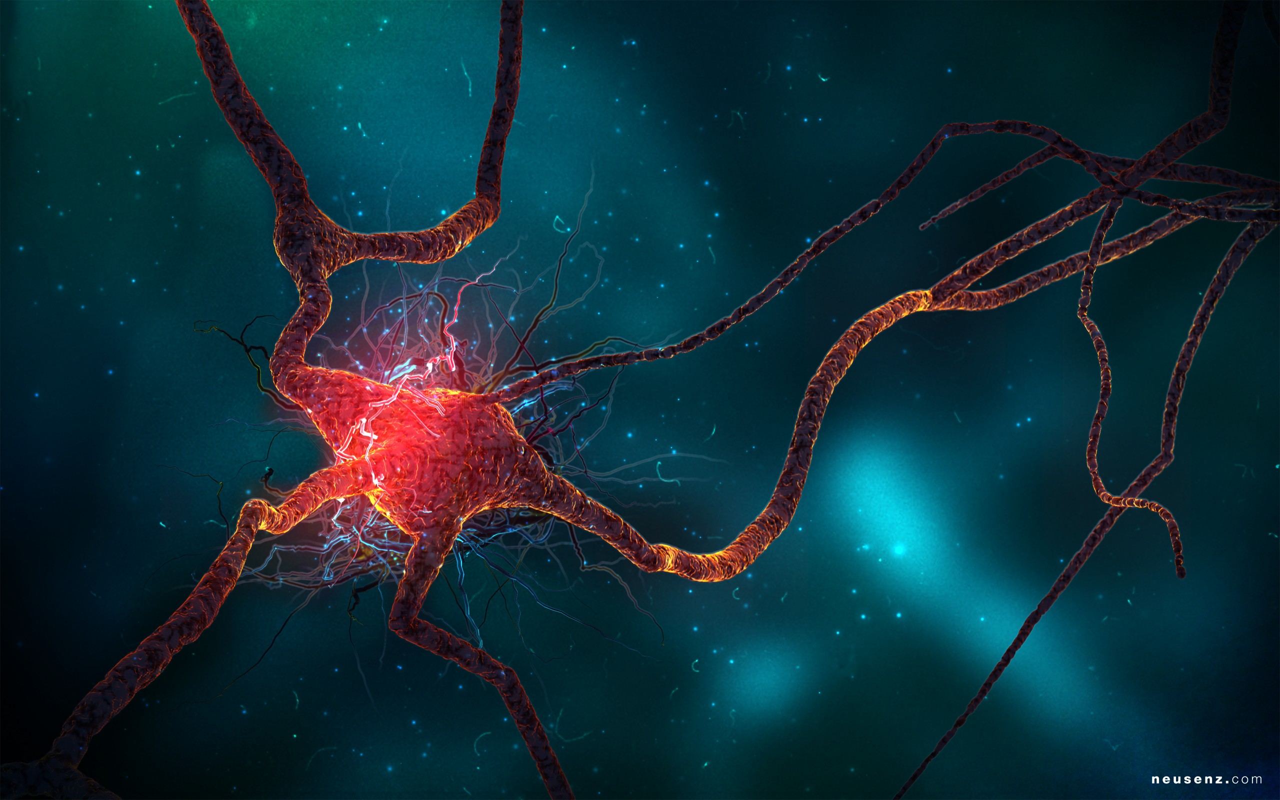 neurons, 3D, Digital art Wallpaper