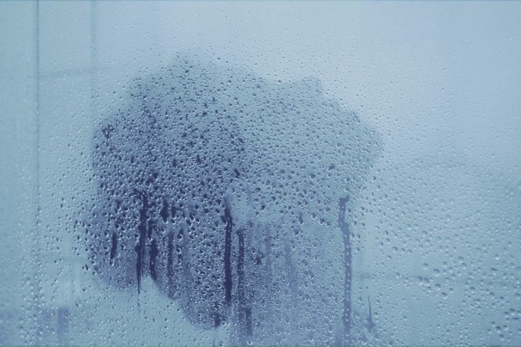 women, Shower, Water on glass HD Wallpaper Desktop Background
