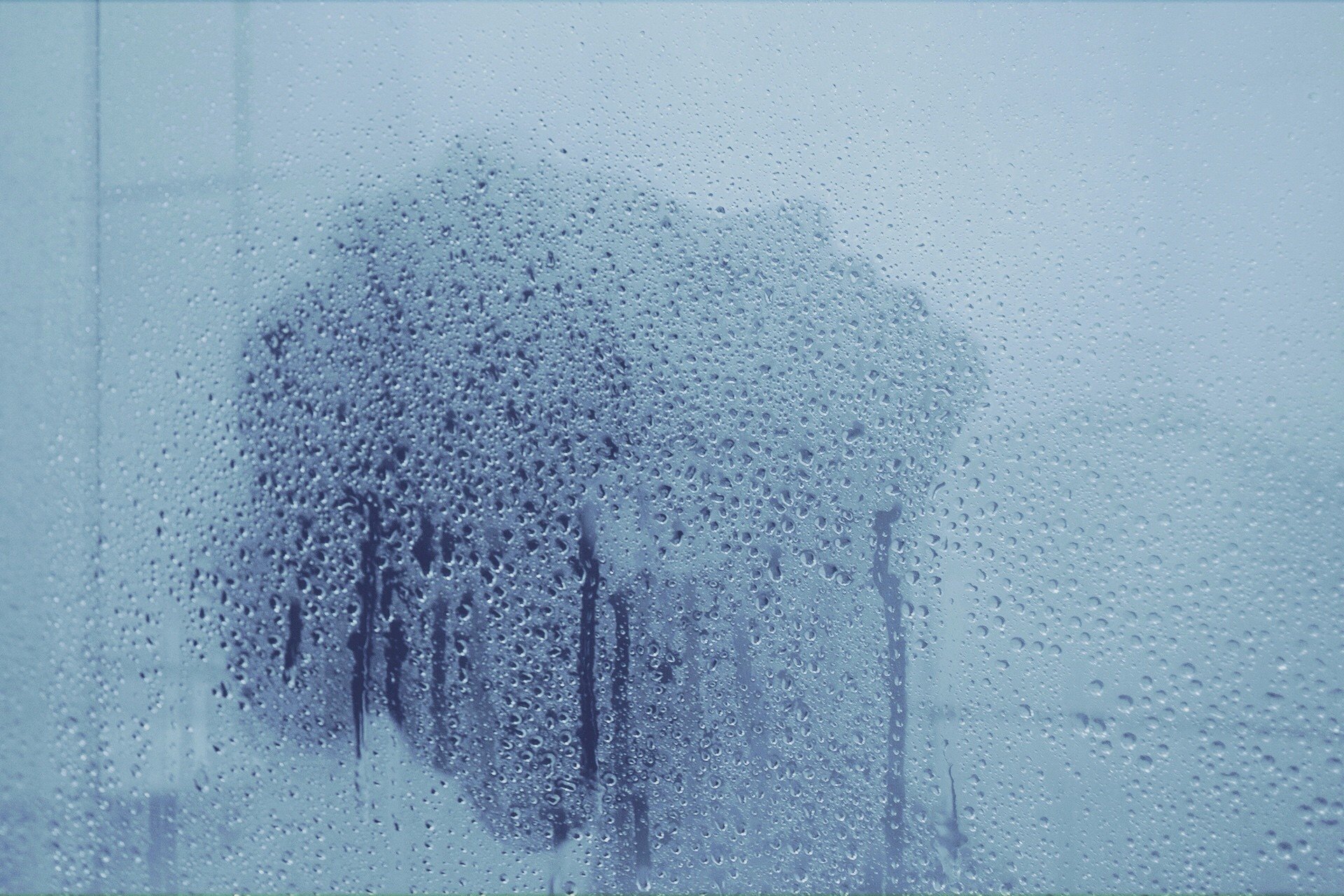 women, Shower, Water on glass Wallpaper