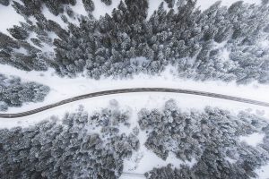 photography, Trees, Snow, Road