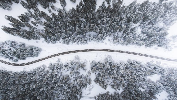 photography, Trees, Snow, Road HD Wallpaper Desktop Background